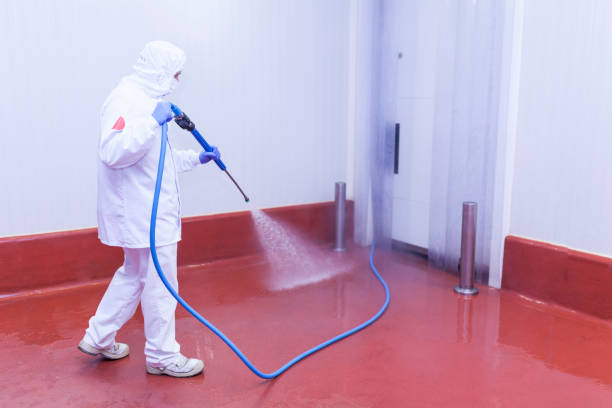 Best Spring Cleaning  in Gearhart, OR